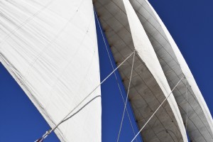 AopZ_suyderse_20090818_056